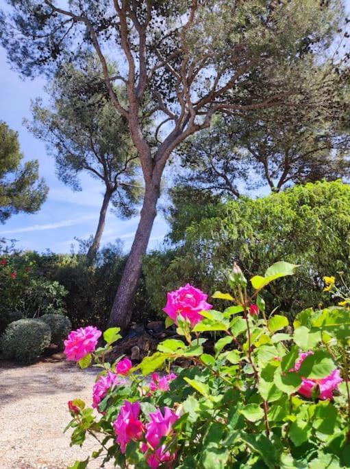 Вилла La Californienne Каркеран Экстерьер фото
