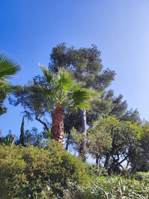 Вилла La Californienne Каркеран Экстерьер фото