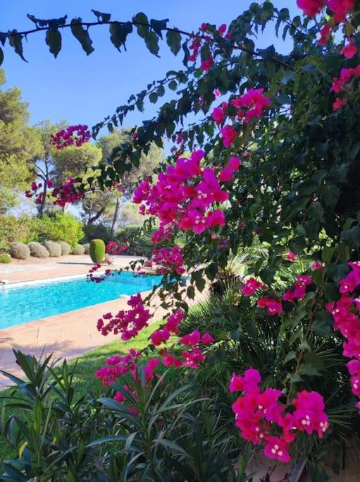 Вилла La Californienne Каркеран Экстерьер фото