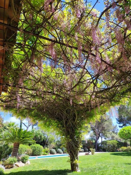 Вилла La Californienne Каркеран Экстерьер фото